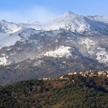 Casa Bonino Hotel Prunelli-di-Fiumorbo Buitenkant foto
