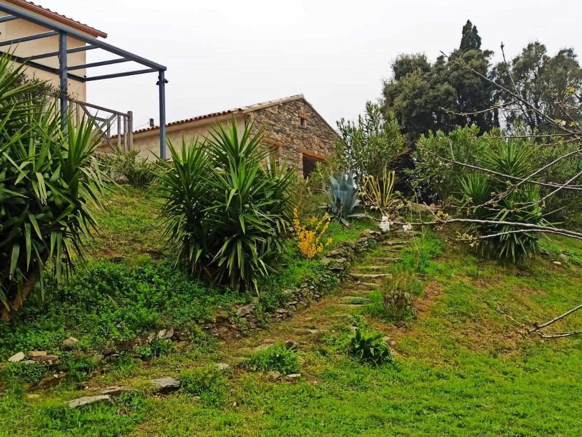 Casa Bonino Hotel Prunelli-di-Fiumorbo Buitenkant foto