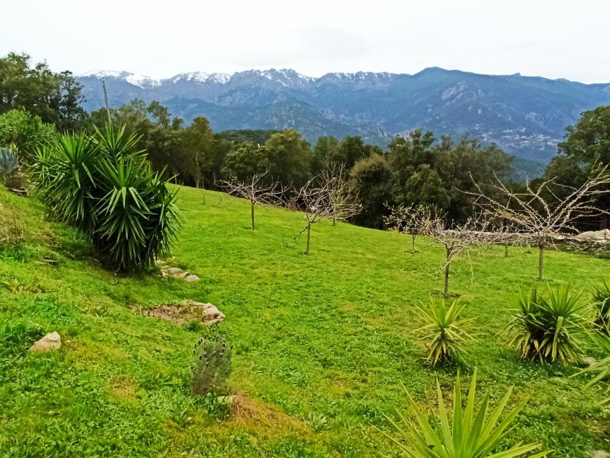 Casa Bonino Hotel Prunelli-di-Fiumorbo Buitenkant foto